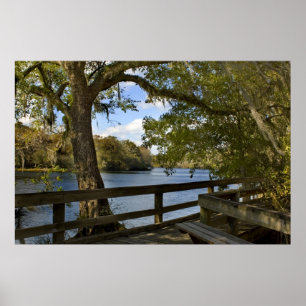 Suwannee Fluss-Promenaden-Druck Poster