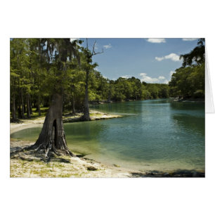 Suwannee River Beach Blank Card