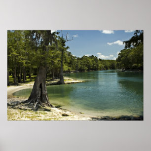 Suwannee River Beach Print Poster