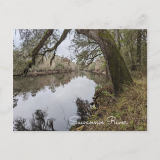 Suwannee River Postcard Postkarte