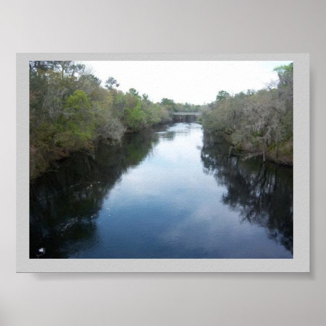 Suwannee River View Florida Poster (Vorne)