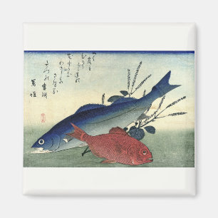 Suzuki & Kimmedai - Japanischer Fisch aus Hiroshig Magnet