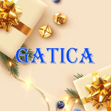 Gatica_Name T-Shirt