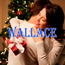 Wallace_Name T-Shirt
