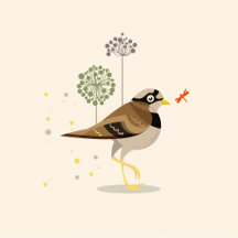 Illustrated postcards