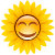 HappySunflowerShopUS