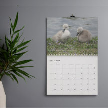 Christian & Inspirational Nature Wall Calendars