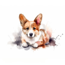 Pembroke Welsh Corgi