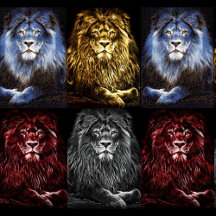 MAJESTIC LIONS COLLECTION