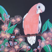 DECOR - "Galah & Gum Nuts" painting