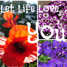 Inspirational Quotes