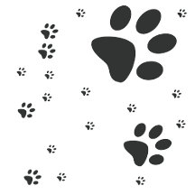 Paw Prints