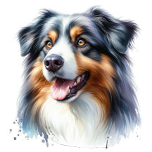 Australian Shepherd Print Gifts & Decor