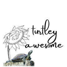 Turtley Awesome