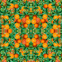 VINTAGE TROPICAL ORANGES PRINT