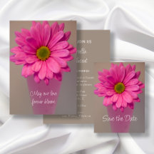 Pink Gerber Daisy in Vase Wedding