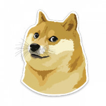 DOGECOIN COLLECTION