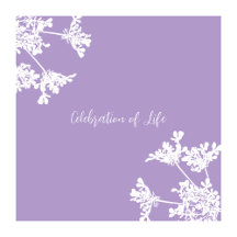 White wildflower celebration Of Life