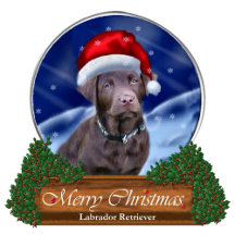 Chocolate Labrador Retriever Christmas