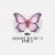 Elegant Butterfly Studio