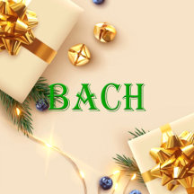 Bach Name Shirt Bach_collection
