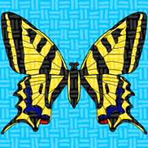 Eastern Tiger Swallowtail Butterfly Collection