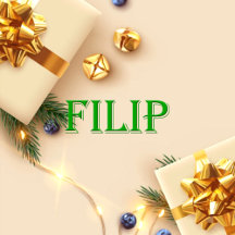 Filip Name T-Shirt