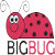 BIGBUGS