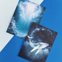 Aquatic Theme Greeting Card