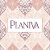 Planiva