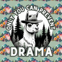 Only You Can Prevent Drama Llama Mothers Day Gifts
