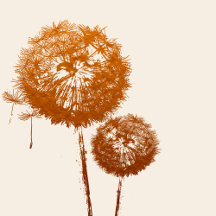 Cream Dandelion Business Collection