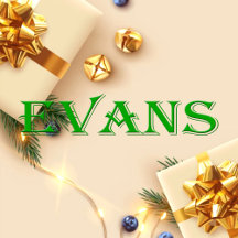 Evans Name T-Shirt