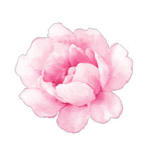 Baby Girl || Baby Shower