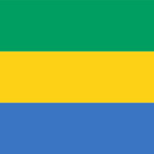 Gabon Flag Gifts 