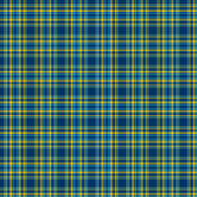 Plaid No. 33