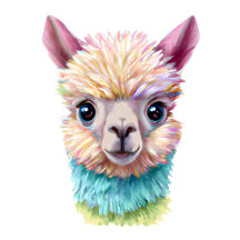Colorful Baby Lama