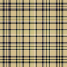Plaid No. 07