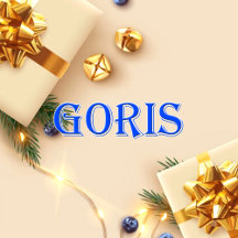Goris_Name T-Shirt