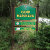 Camp_Watchaug_Alumni
