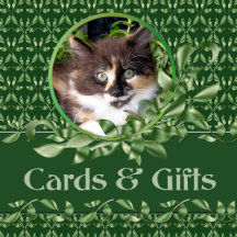 Calico Kitten In Jade Plant