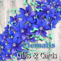 Natural Purple Clematis Flowers -  Gifts & Cards