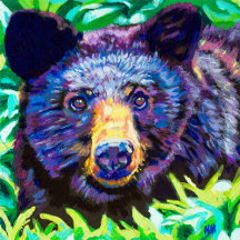 Black Bear Collection