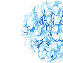 Modern Southern Chic