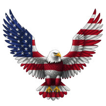US Flag Bald Eagle 4th of July