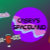 CaseysSpaceland