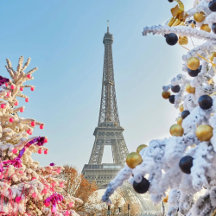 French Christmas - Le jour de Noël