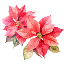 Christmas Wreath and Garland