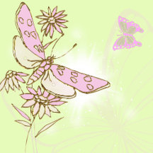 Lemon Lime Butterfly Birthday Party Collection