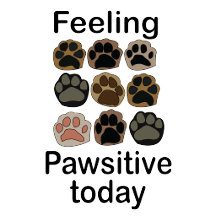 Paw Print Feeling Pawsitive Today Lets Paw-ty 